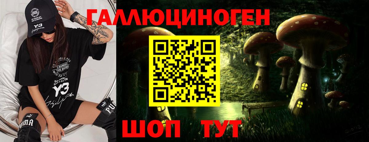 цена наркотик  Вход с VPN  Галлюциногенные грибы Psilocybine cubensis  Сердобск  Псилоцибиновые грибы Magic Shrooms 