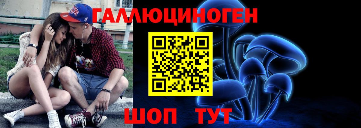 Псилоцибиновые грибы Psilocybine cubensis Сердобск